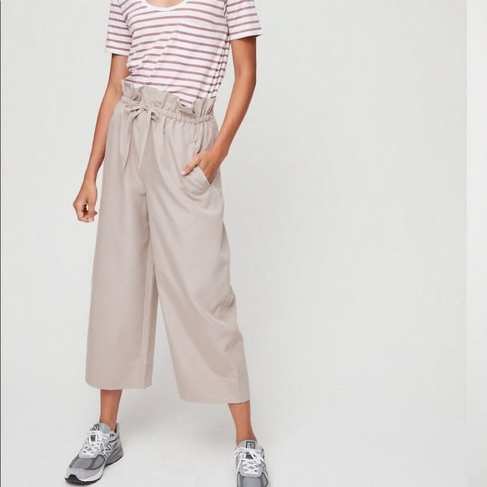 Aritzia The Group By Babaton Kerri High Waisted Wide Leg Paperbag Pants